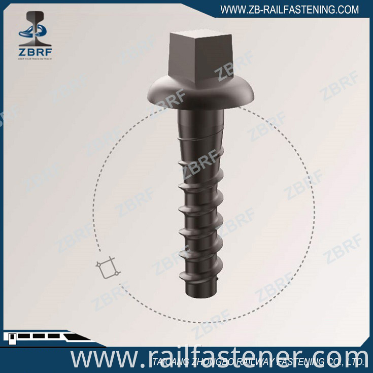 South American Screw Spike